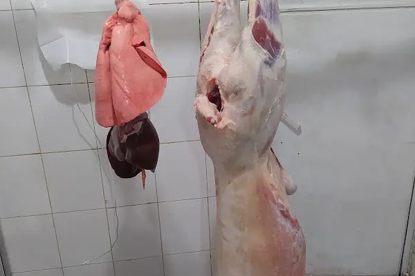 Kasap Murat Ocakbaşı Büyükorhan et ürünleri - Resim 2