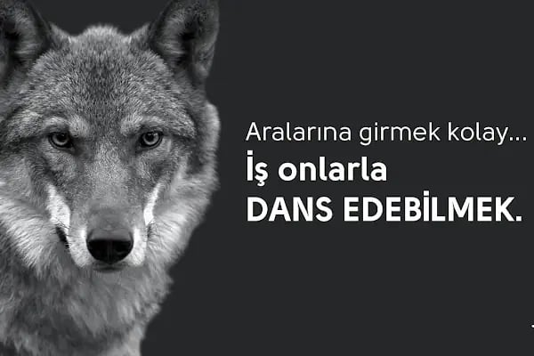 American LIFE Trabzon - Resim 20