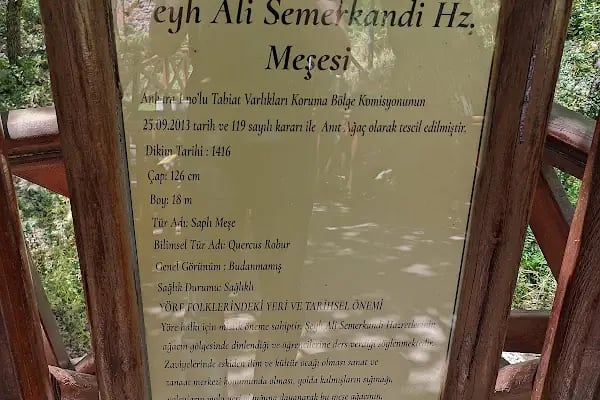 Hz.Ali Semerkand - Resim 16
