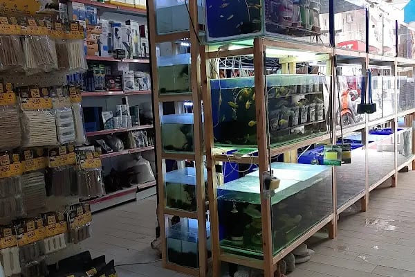 HOBİM PET SHOP 07 - Resim 6