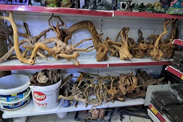 HOBİM PET SHOP 07 - Resim 2