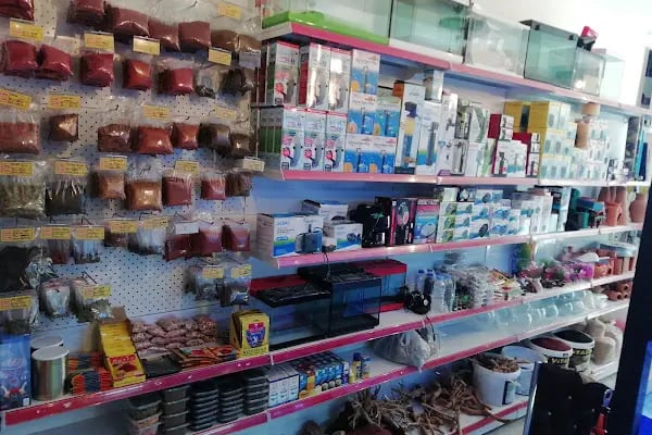 HOBİM PET SHOP 07 - Resim 7