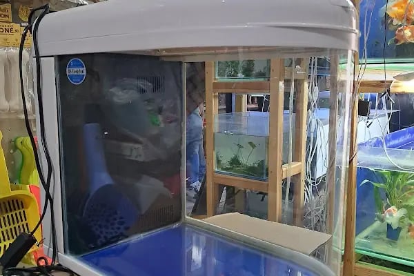 HOBİM PET SHOP 07 - Resim 5