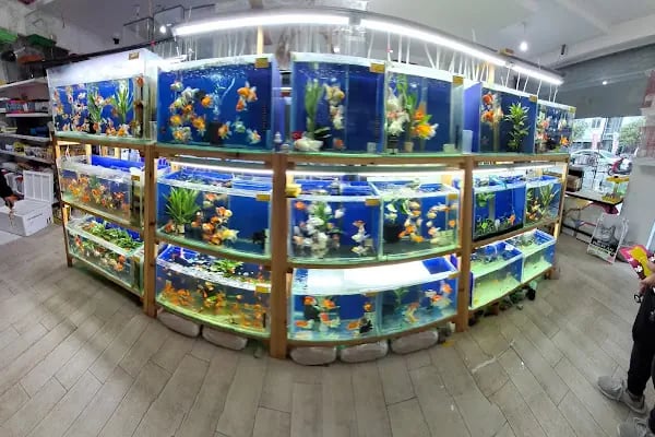 HOBİM PET SHOP 07 - Resim 3