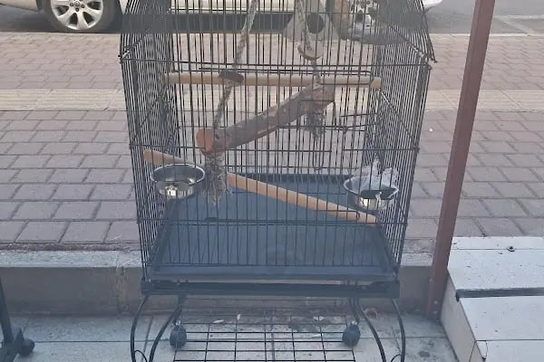 HOBİM PET SHOP 07 - Resim 11
