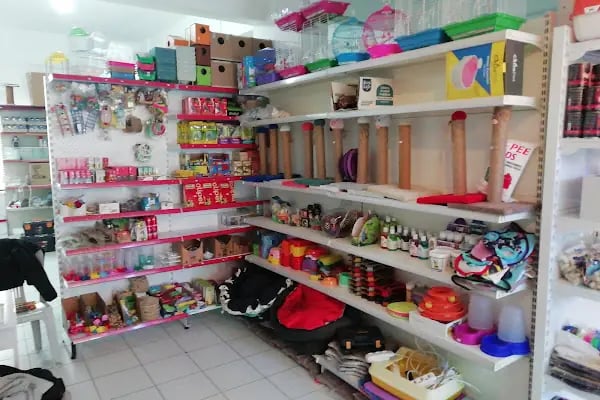 HOBİM PET SHOP 07 - Resim 19