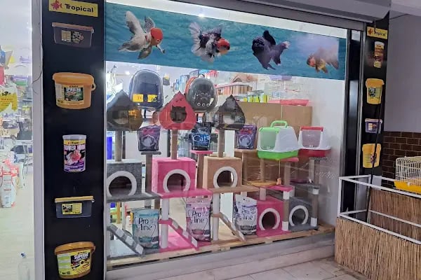 HOBİM PET SHOP 07 - Resim 1