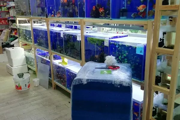 HOBİM PET SHOP 07 - Resim 14