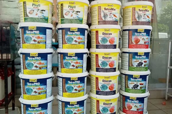 HOBİM PET SHOP 07 - Resim 12