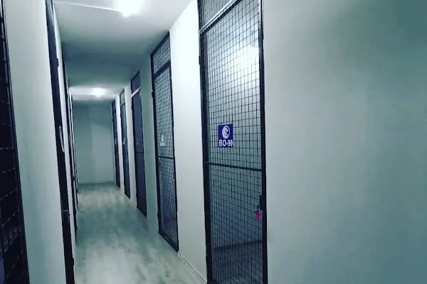 BORABEY EŞYA DEPOLAMA - Resim 12
