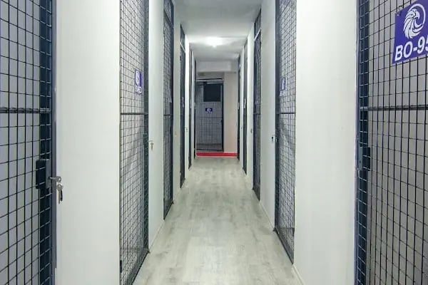 BORABEY EŞYA DEPOLAMA - Resim 2