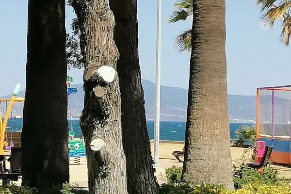 Seyir Cafe & Restaurant - Resim 16