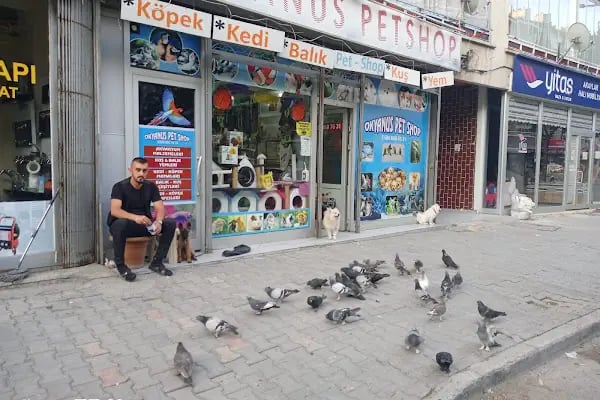 OKYANUS PETSHOP - Resim 2