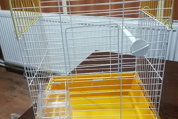 OKYANUS PETSHOP - Resim 16