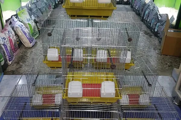 OKYANUS PETSHOP - Resim 11