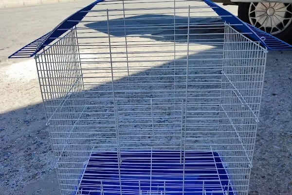 OKYANUS PETSHOP - Resim 5