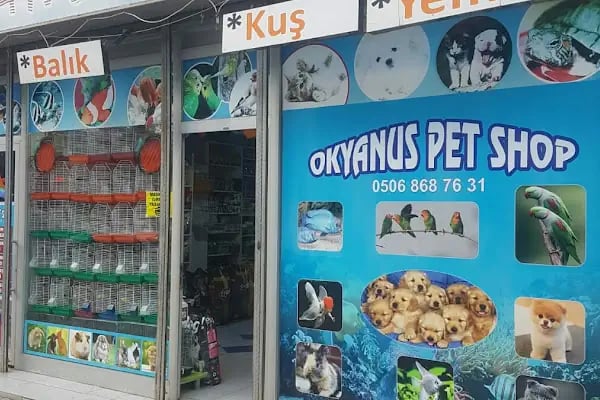 OKYANUS PETSHOP - Resim 3