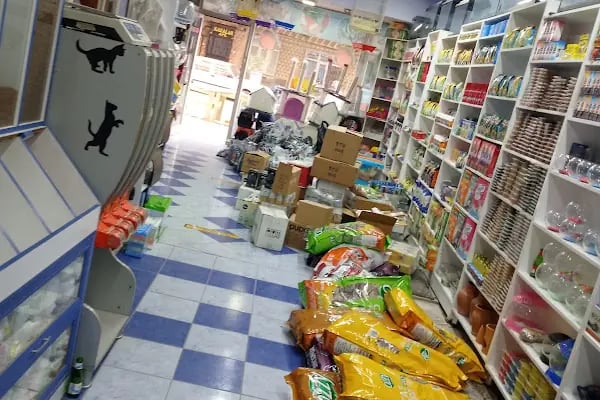OKYANUS PETSHOP - Resim 12
