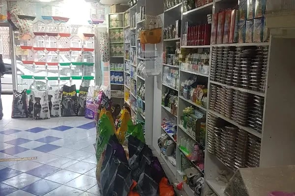 OKYANUS PETSHOP - Resim 18