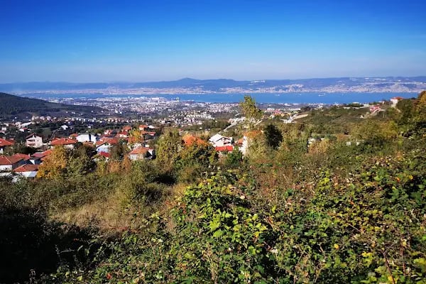 Satuti Restaurant Cafe - Resim 14