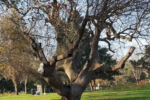 İBB Florya Atatürk Ormanı - Resim 6