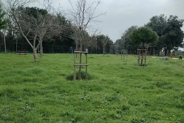 İBB Florya Atatürk Ormanı - Resim 4