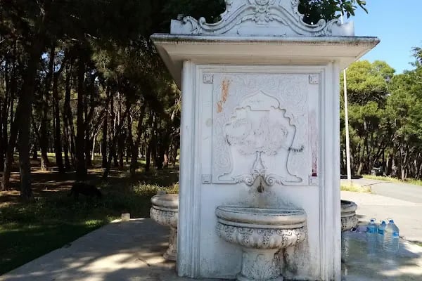 İBB Florya Atatürk Ormanı - Resim 12