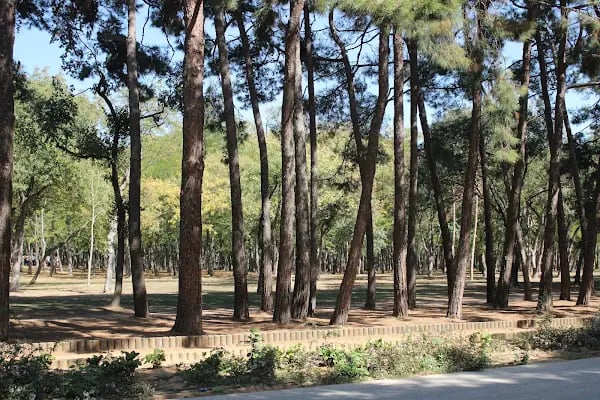 İBB Florya Atatürk Ormanı - Resim 2
