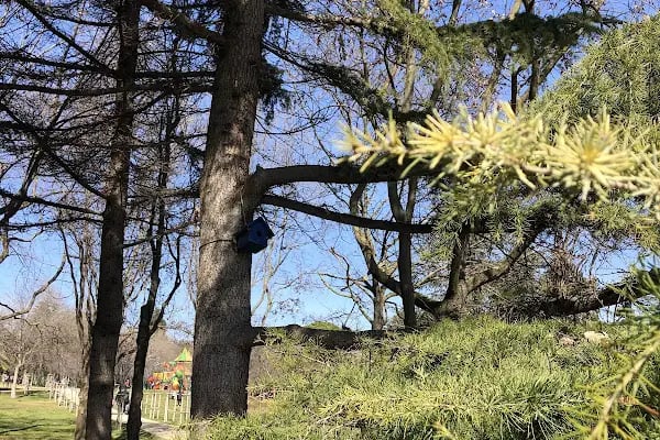 İBB Florya Atatürk Ormanı - Resim 13