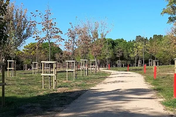 İBB Florya Atatürk Ormanı - Resim 14
