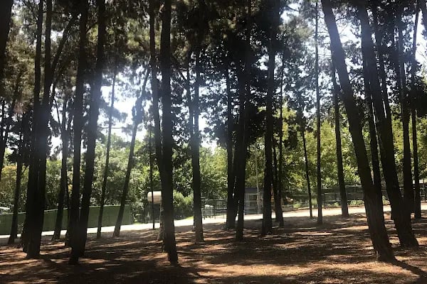 İBB Florya Atatürk Ormanı - Resim 11