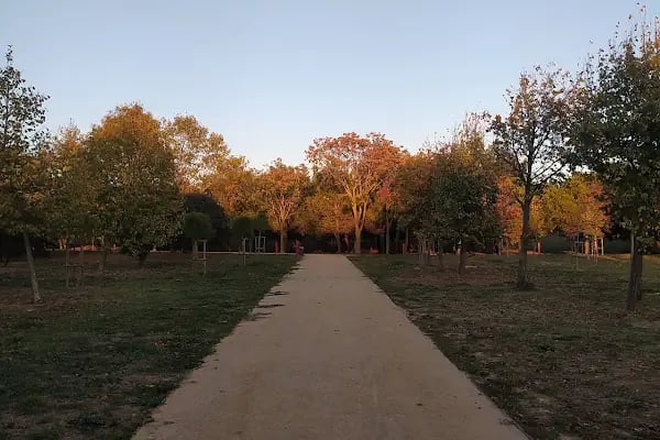İBB Florya Atatürk Ormanı - Resim 19
