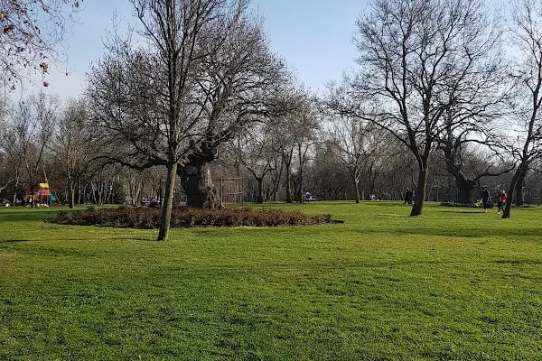 İBB Florya Atatürk Ormanı - Resim 7
