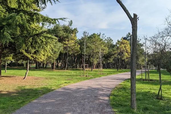 İBB Florya Atatürk Ormanı - Resim 15