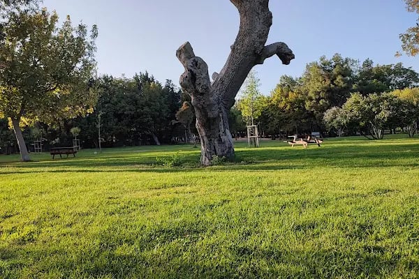 İBB Florya Atatürk Ormanı - Resim 18
