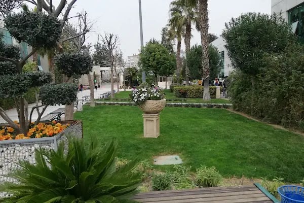 Yaşar Üniversitesi - Resim 19