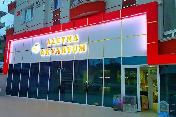 ALEYNA AKVARYUM - Resim 2