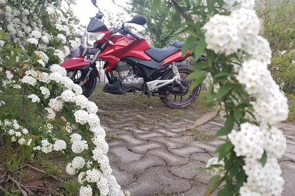 Emral Kardelen Düğün Salonu - Resim 15