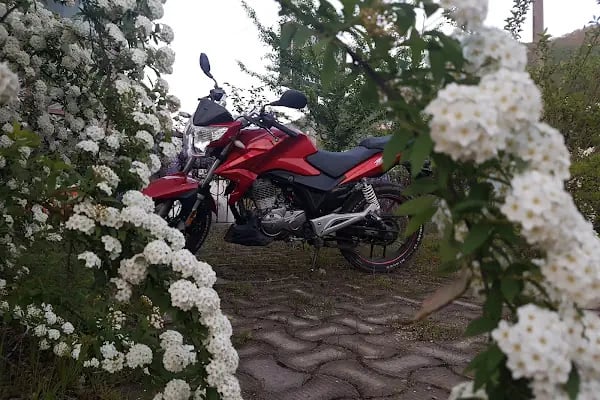 Emral Kardelen Düğün Salonu - Resim 3