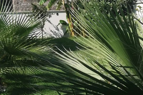 Yeni Dünya Bodrum Vacation Home Rental - Resim 19