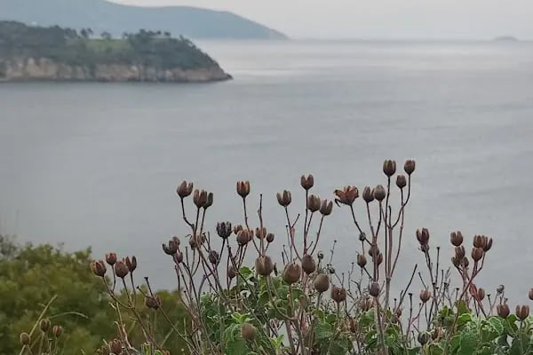 Burgazada İtfaiye İstasyonu - Resim 6