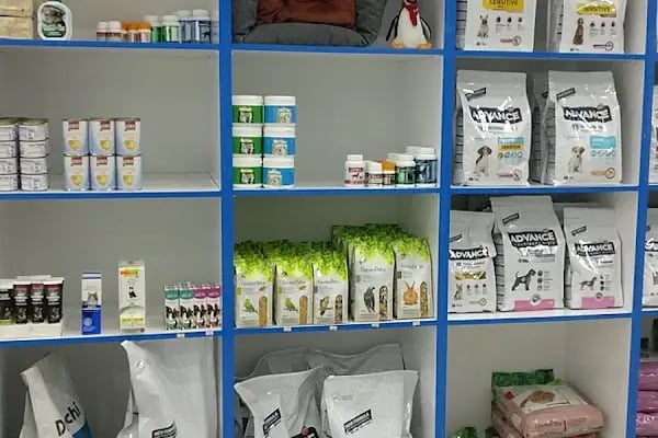 Kayaşehir Veteriner Kliniği - Resim 15