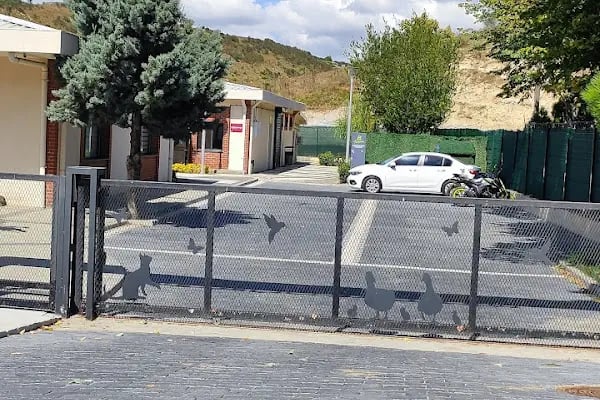 Kayaşehir Veteriner Kliniği - Resim 11