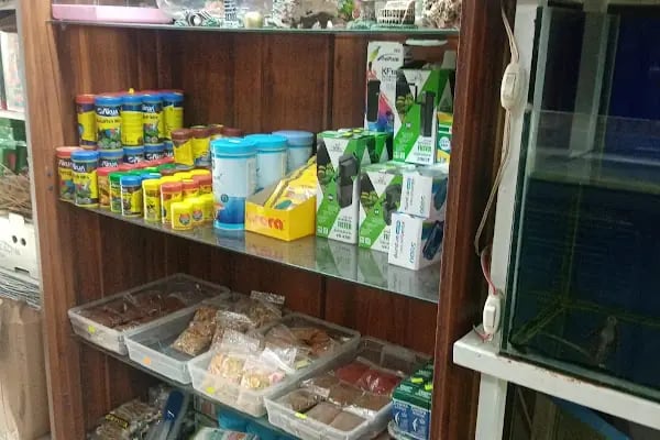 Rastgele petshop - Resim 4