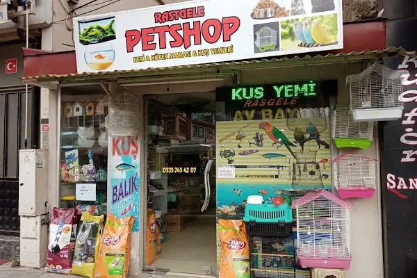 Rastgele petshop - Resim 1
