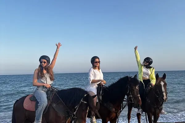 OASİS RANCH & AT ÇİFTLİĞİ - Resim 17