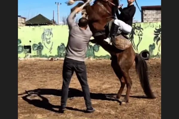 OASİS RANCH & AT ÇİFTLİĞİ - Resim 14