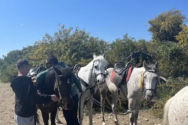 OASİS RANCH & AT ÇİFTLİĞİ - Resim 5