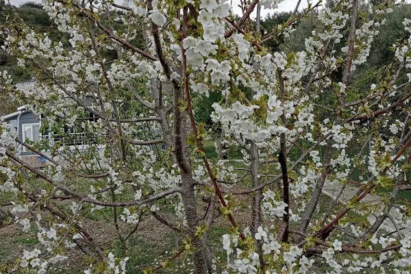 BİGA Garden Düğün Salonu - Resim 16