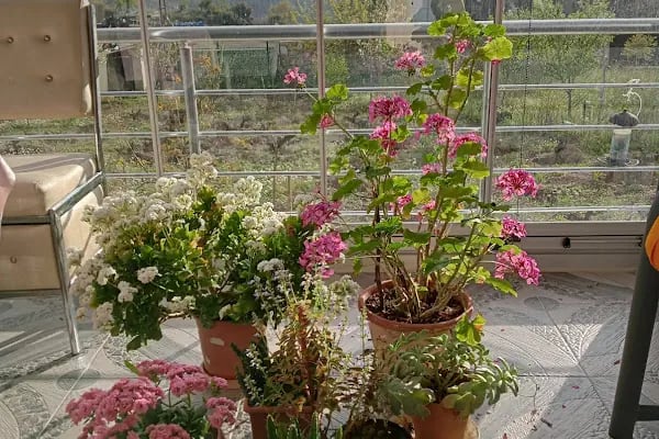 BİGA Garden Düğün Salonu - Resim 11